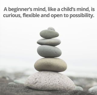 Beginners Mind 3.jpg